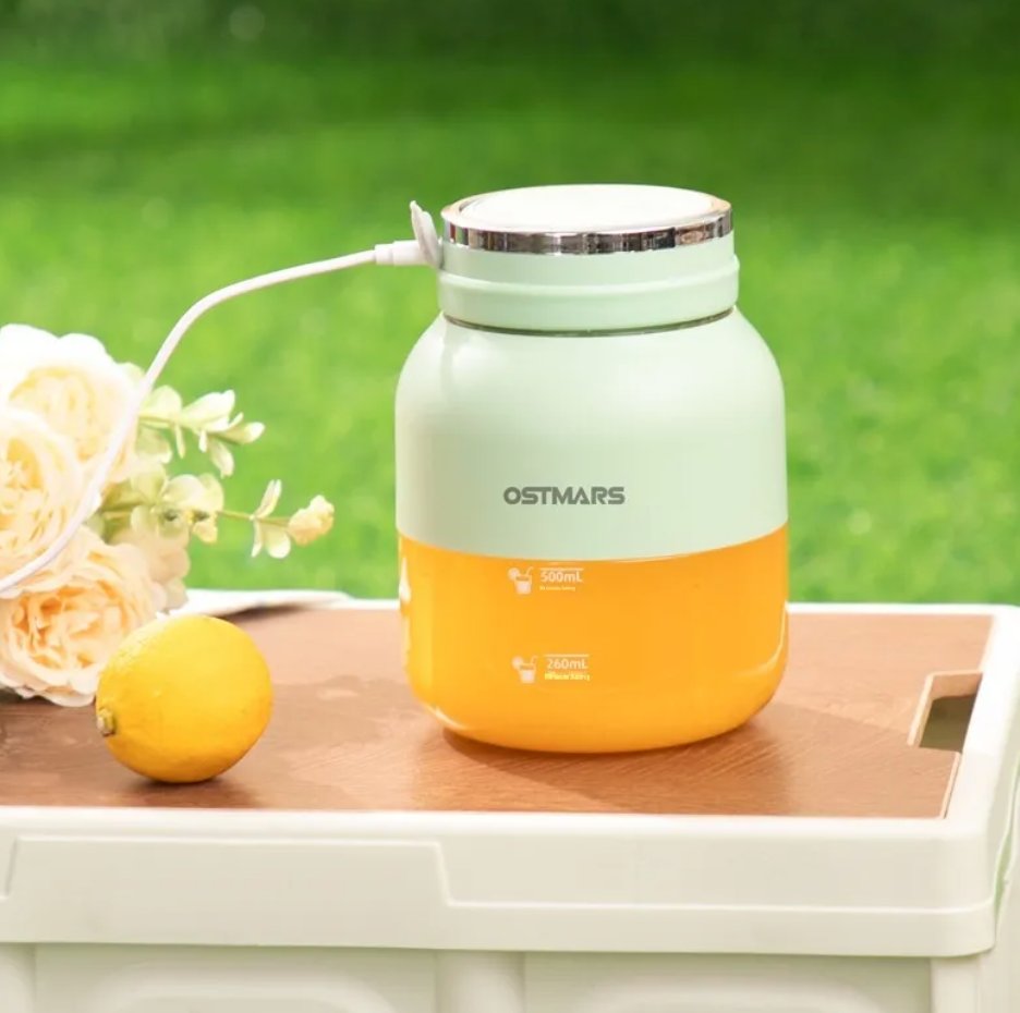 Portable Mini Fruit Blender Cup